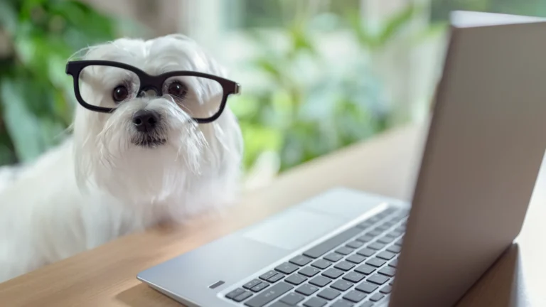 Explore the Future of Pet Wellness with ZenDogTech com