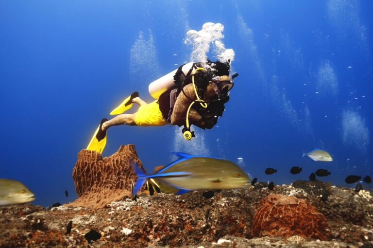 Dive into the World of Natural Products Online